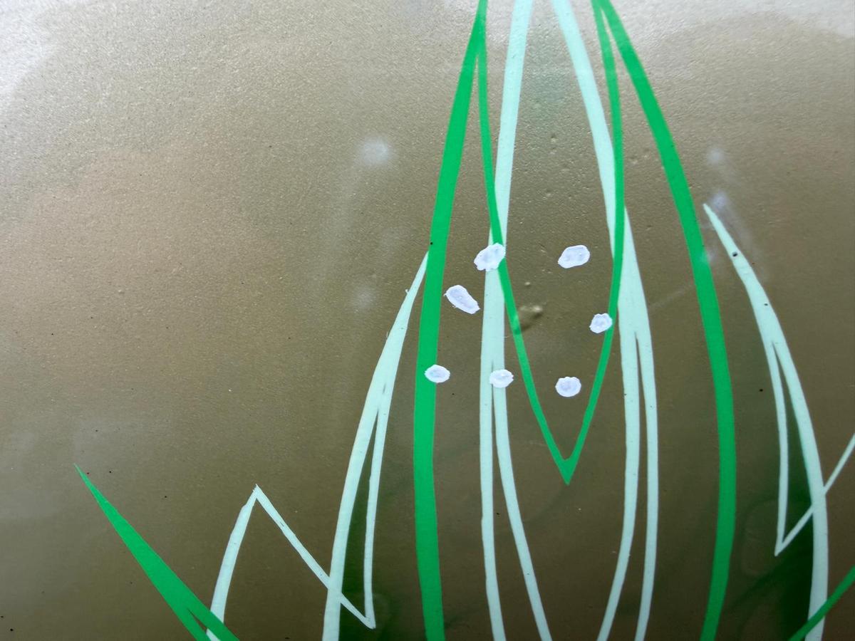 Opel Corsa D original Heckklappe mit Scheibe Z30E Green Tea 3 T&uuml;rer Rohbau BJ06